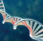 Genetics-Cracking the Code of Life - Part II
